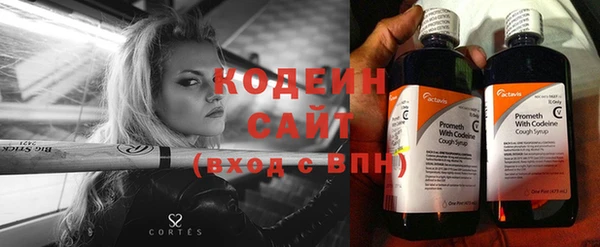 гашик Белокуриха