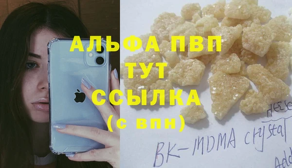 гашик Белокуриха