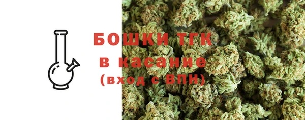 гашик Белокуриха